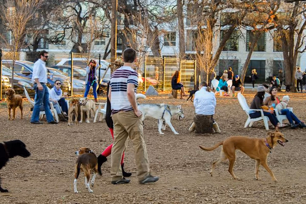 Irving Park Off Leash Area photo 1